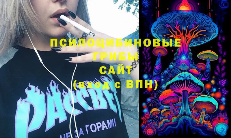 Галлюциногенные грибы Psilocybine cubensis  Курлово 